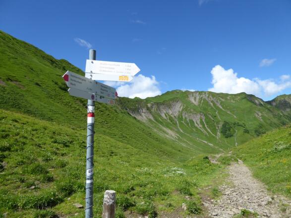 Wegweiser am Hochalppass