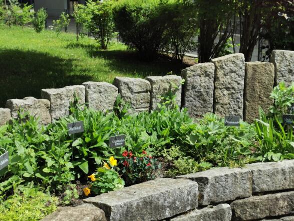 Kräuter-Kraft-Kreis der Stadtbücherei Wolfratshausen