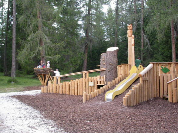 ... der WaldWunderWelt ...