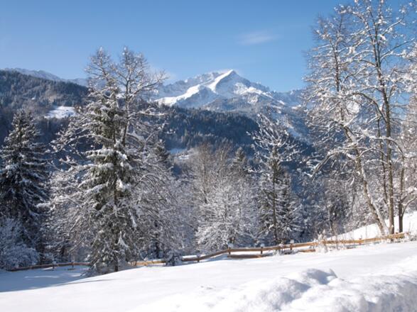 Winterpanorama von der Pfeifferalm