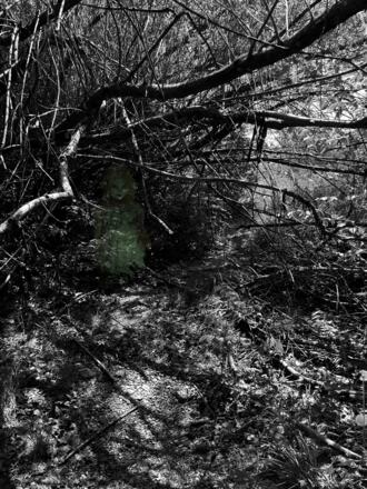 Kapitel 5 - Finsterer Weg