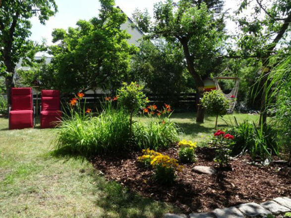 Blick in Garten vom Freisitz