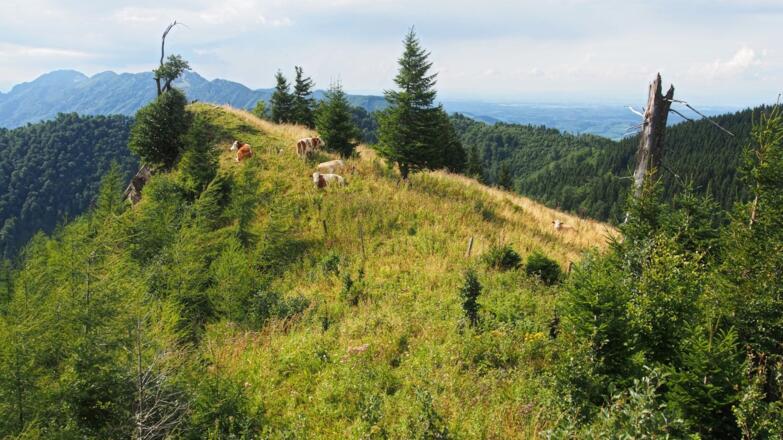 Schneeberg