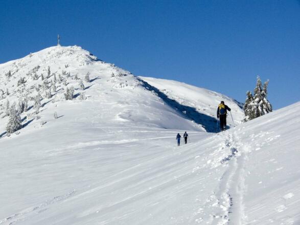 Der Gipfelanstieg; über die Hänge rechts des Gipfels geht es nach Aurach hinunter.