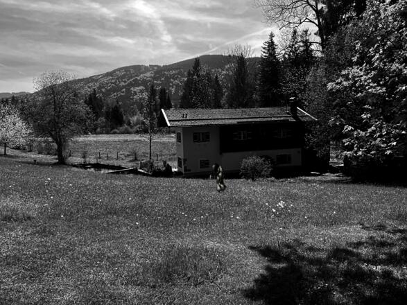 Kapitel 2 - Rastloser Mühlengeist