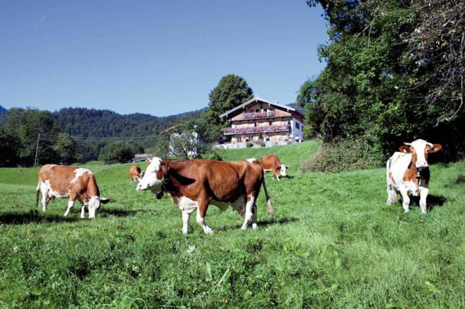Unser Hof