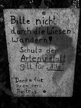 Kapitel 1 - Willkommen Wanderer