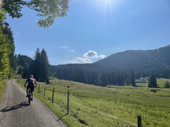 Malerischer Weg durch das Ehrenschwanger Tal