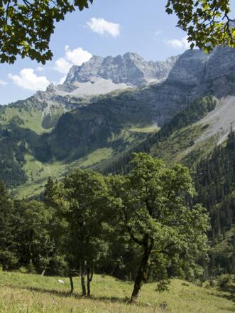Beim Abstieg sieht man über das Hochglückkar zur Schafkarspitze.