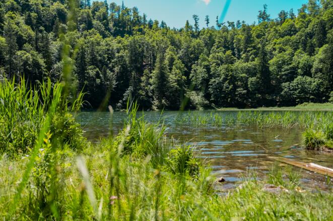 am Filblingsee