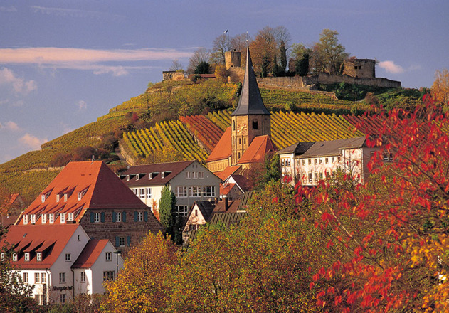 Burgruine Weibertreu