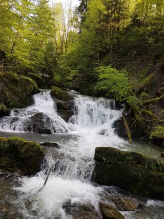 Brühlbach Wasserfall