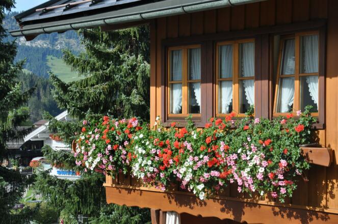altes Walserhaus ...