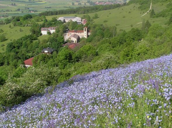 Blick zum Ev. Bildungszentrum Hesselberg