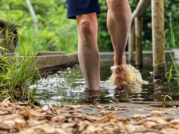 Moorbad Sibratsgfäll