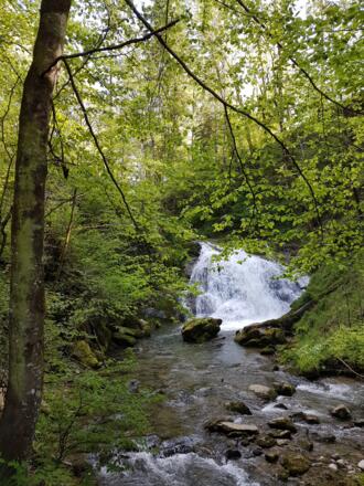 Brühlbach Wasserfall