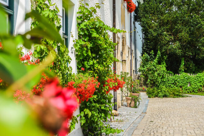 weyarn_kloster_sommer_fl_2016