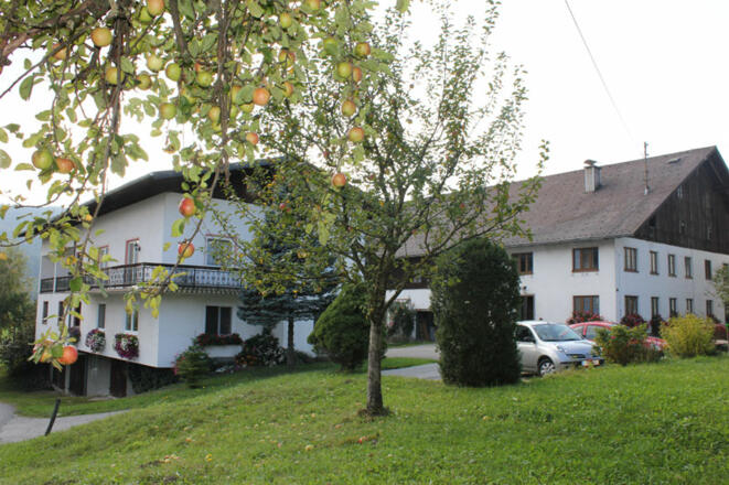 Ferienwohnung Bauernhof Kreutzer im Attergau