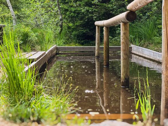 Moorbad Sibratsgfäll