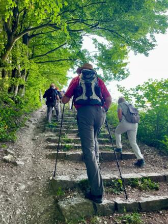 Steintreppe auf dem Geologischen Lehr- und Wanderpfad