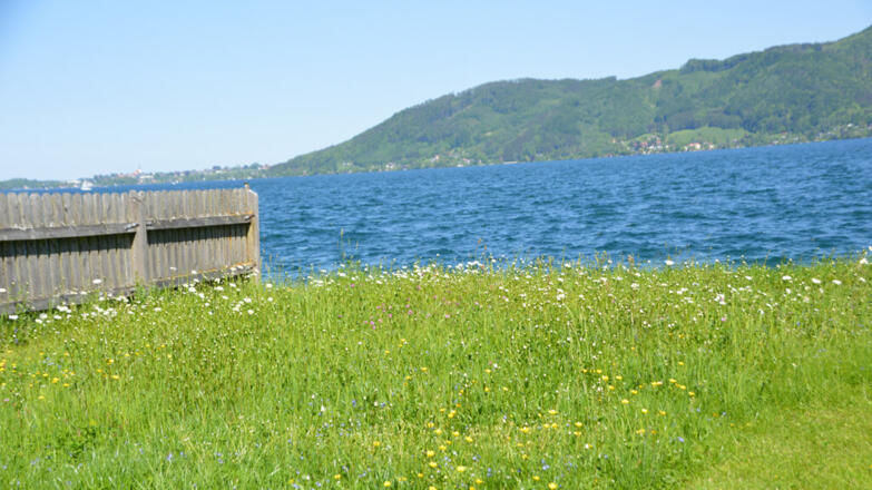 badeplatz-mit-blick-auf-das-ostufer-viehboeck