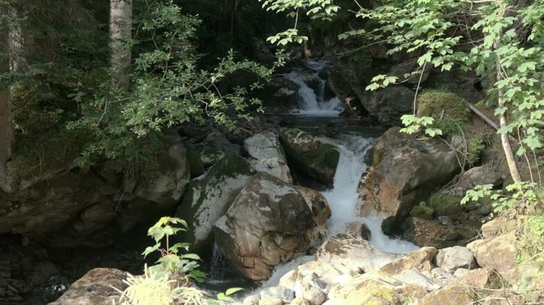 Gravelbiken in Saalfelden Leogang