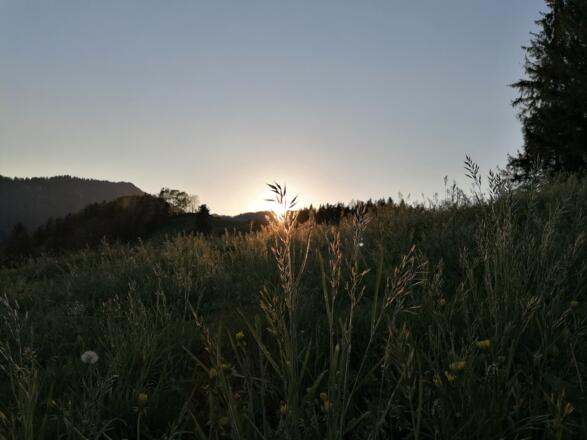 Sonnenuntergang Heugutvorsäß