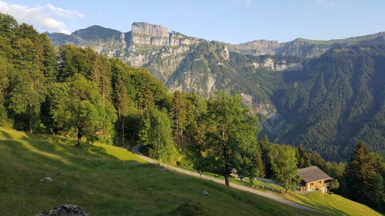 Blick auf die Kanisfluh