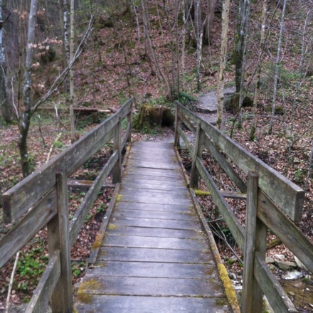 Holzbrücke über den Reitnerbach