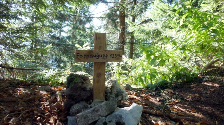 Fahrnaugupf 1239m mit Minikreuz