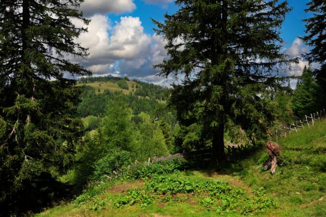 Wandern und dabei die Natur genießen.