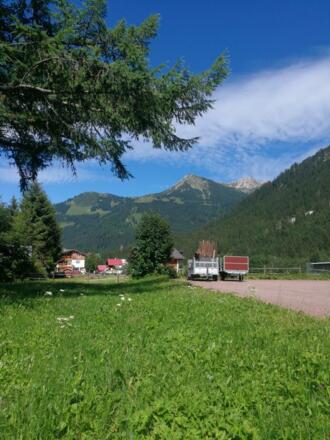 IMG_20220713_164509_resized_20220717_073010176