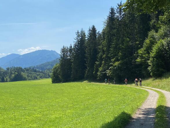 Angenehm geht es Richtung Hintersee