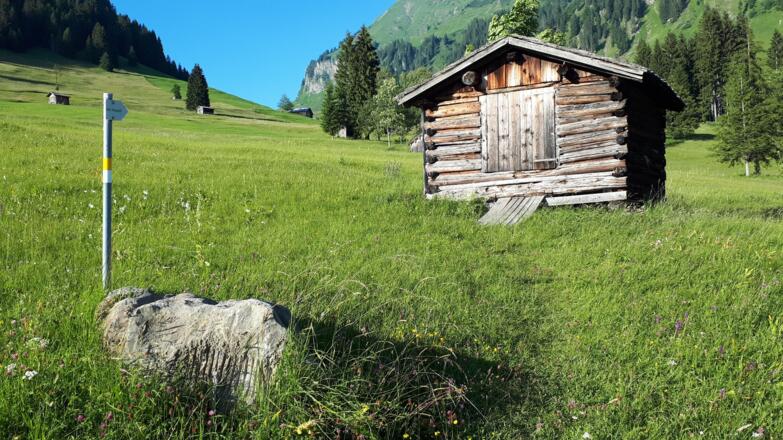 Heuhütte alpgang - unbedingt vorbeischauen