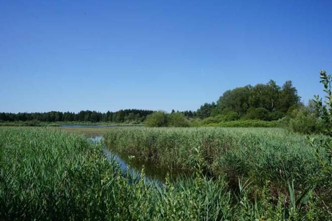 Aussicht auf den Zillhamer See