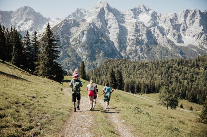 Rückweg über die Alm.