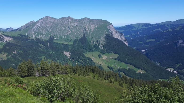 Ausblick zur Kanisfluh