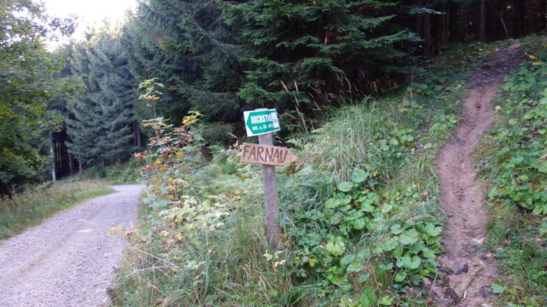 Forststraße links um 1010 m, der wir vom Fahrnau kommend folgen.