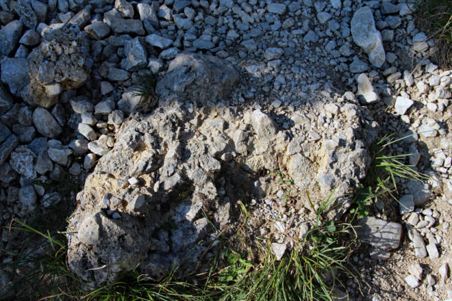 Die Schachen-Breccie ist sporadisch am Weg erkennbar