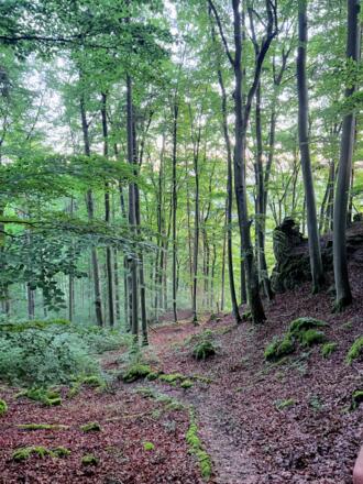 Schloßberg