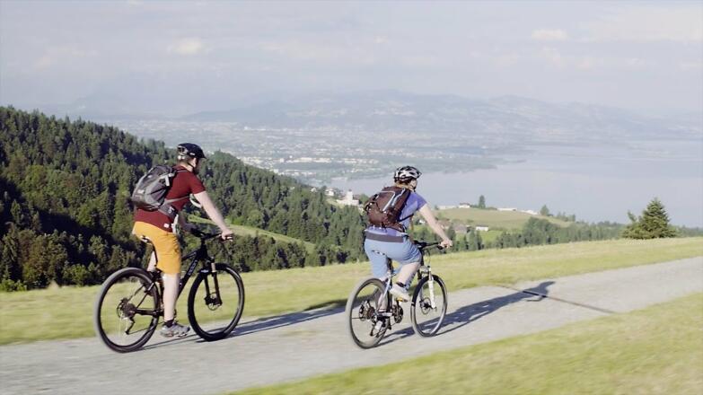 Westallgäu - Allgäuer Käsestraße