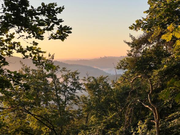 Blick auf Burg Gößweinstein