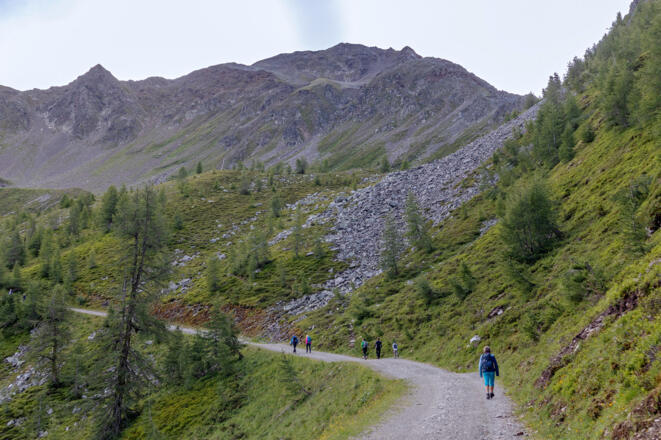 Auf dem Fahrweg durchs Goldried. Im Hintergrund Gorner (links) und Rotenkogel (rechts).