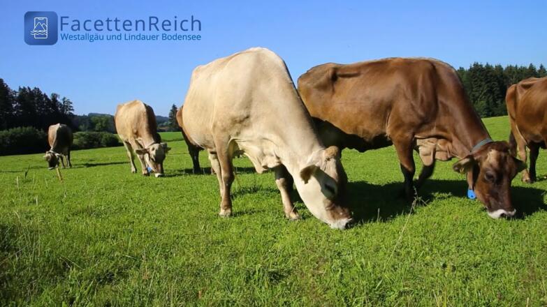 Allgäuer Käsestraße - Von der Wiese auf den Teller