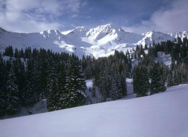 Ausblick auf das Grünhorn