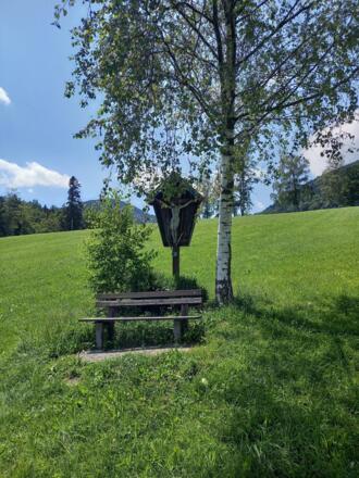 Rastbank am Weg