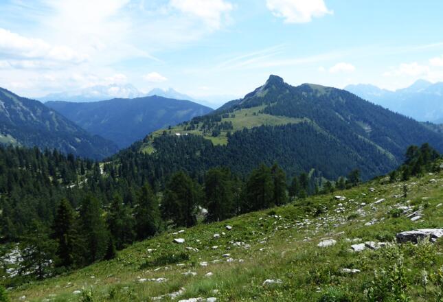 Der Hochwieskopf, unterhalb die Hochwiesalm und im Hintergrund der Dachstein.