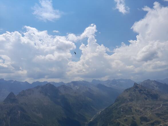 Mit Glück - gibt es Adler oder Steinböck zu sehen
