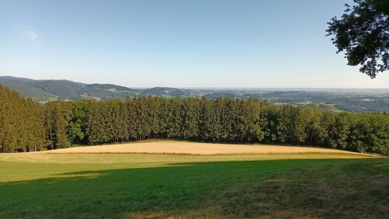 Aussicht vom Gallner nach Süden - links Hirschenstein - rechts Bogenberg
