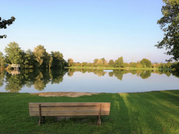 Am Ufer des Anglberger Weihers bei Zolling